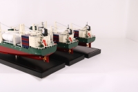 customized model of 193m General Cargo Vessel